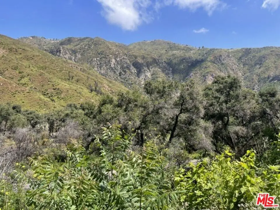 2070 Las Flores Canyon Road, Malibu, CA 90265 - #1