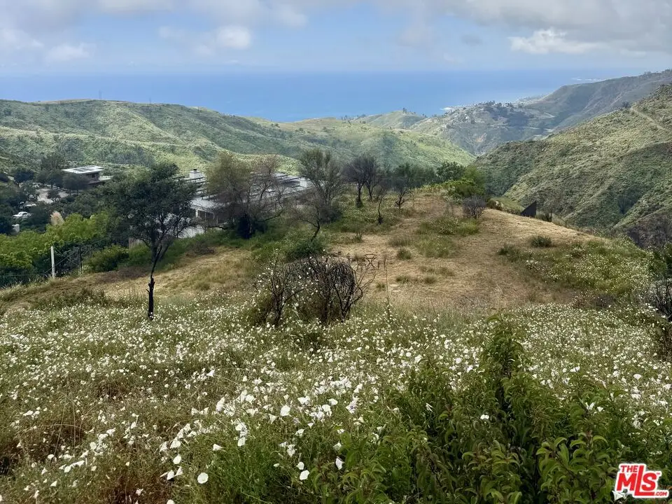 62 Tuna Cayon Road, Topanga, CA 90290 - #1