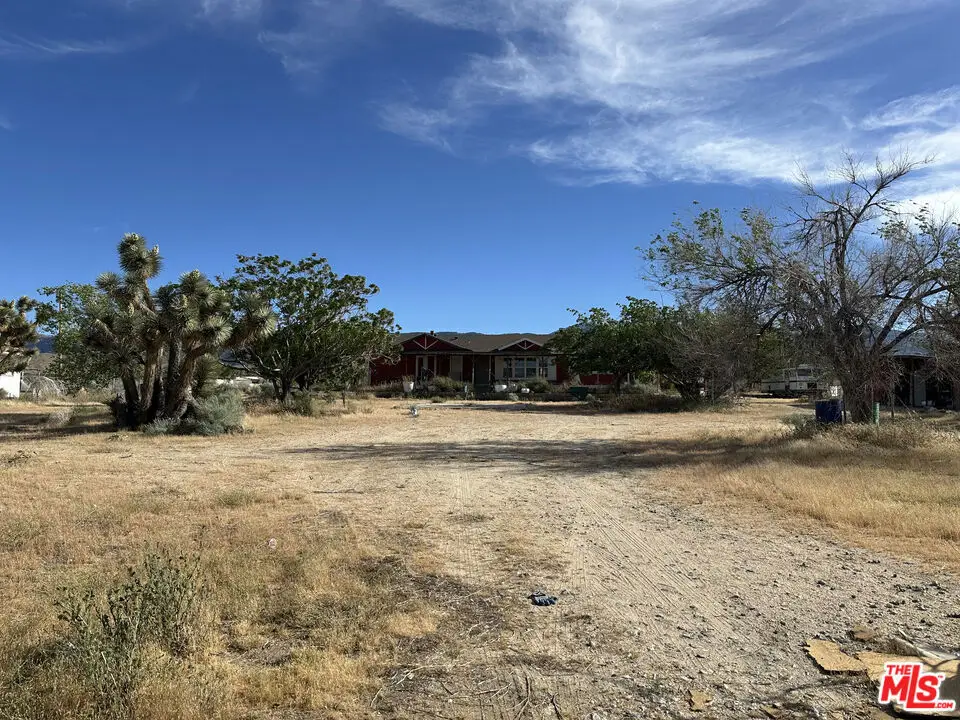 32049 213th Street, Llano, CA 93544 - #1