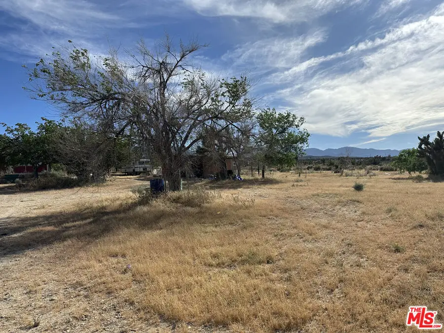 32049 213th Street, Llano, CA 93544 - #3