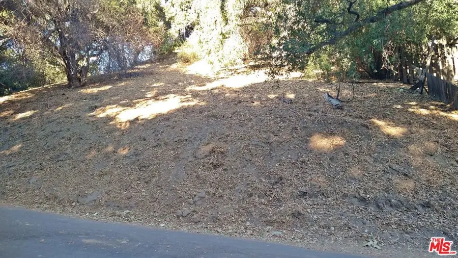 12300 Spring Trail, Kagel Canyon, CA 91342 - #2