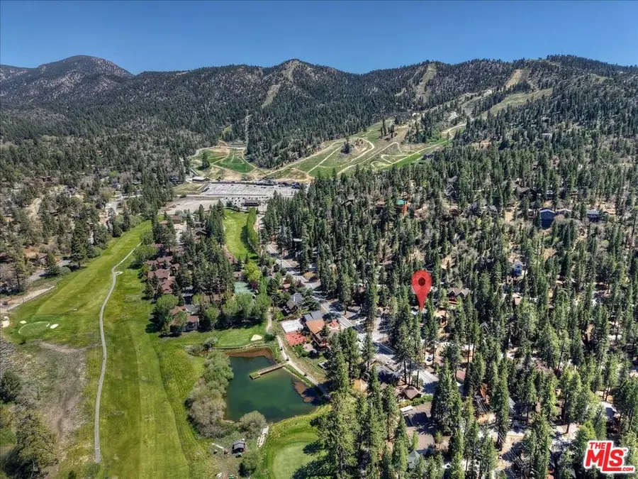 42979 Fern Avenue, Big Bear, CA 92315 - #3