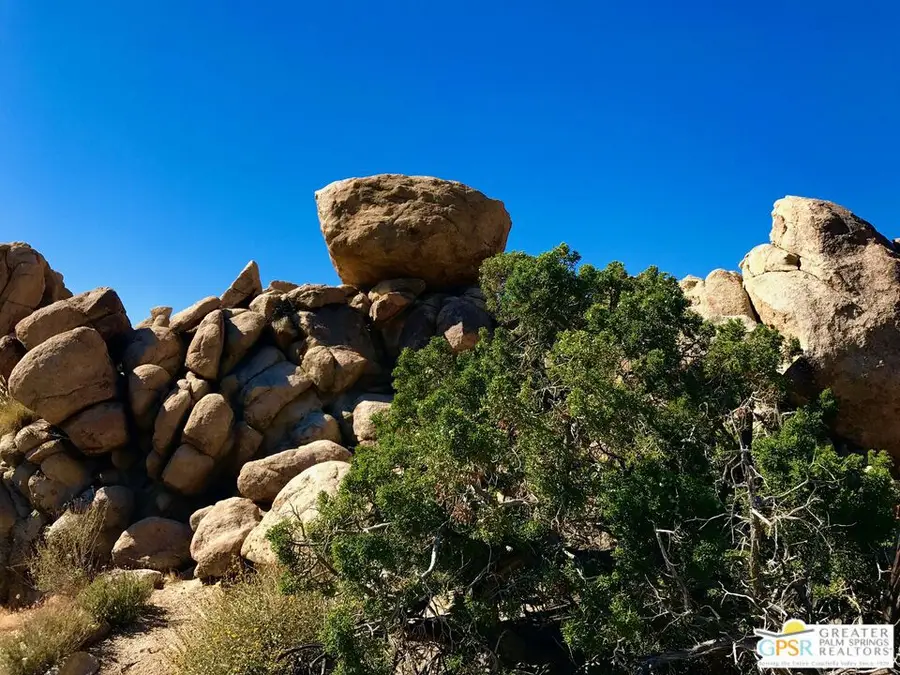 6220 Mirlo Court, Yucca Valley, CA 92284 - #3