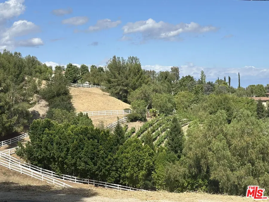 24962 Eldorado Meadow Road, Hidden Hills, CA 91302 - #2