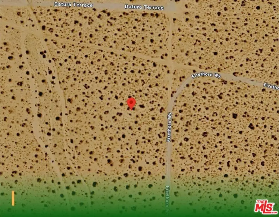 0 Datura Avenue, Johnson Valley, CA 92285 - #1