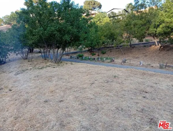 3747 Richardson, Los Angeles, CA 90065