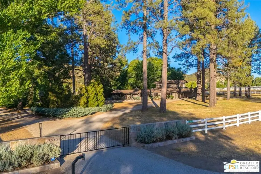 37030 Tool Box Springs Road, Mountain Center, CA 92561 - #3