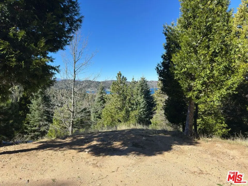101 Mill Pond Road, Lake Arrowhead, CA 92352 - #1