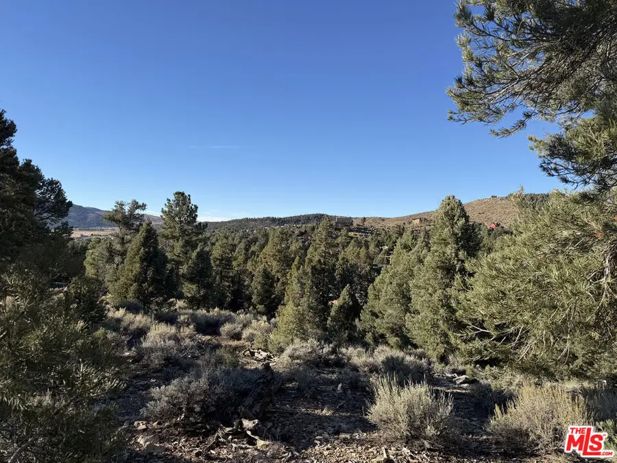 46280 Boron Lane, Big Bear City, CA 92314 - #2