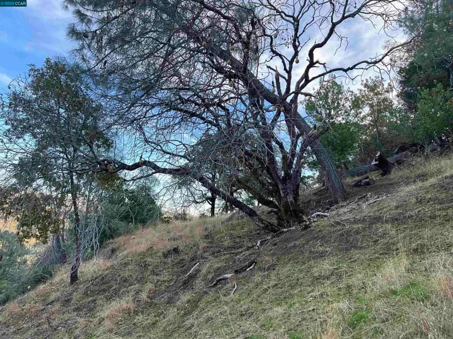 196 Country Club Lane, Napa, CA 94558 - Image #2