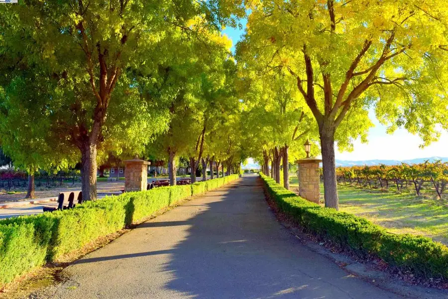 6740 Balfour Rd, Brentwood, CA 94513 - Image #2