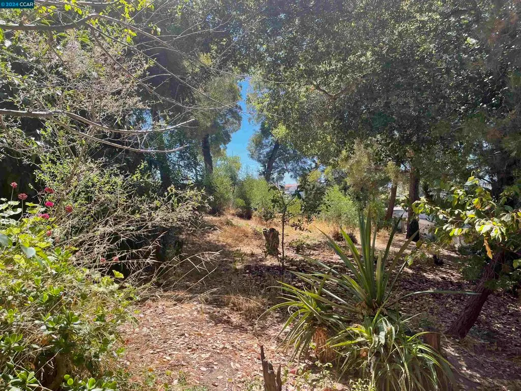 1930 E 30th St, Oakland, CA 94606 - Image #1