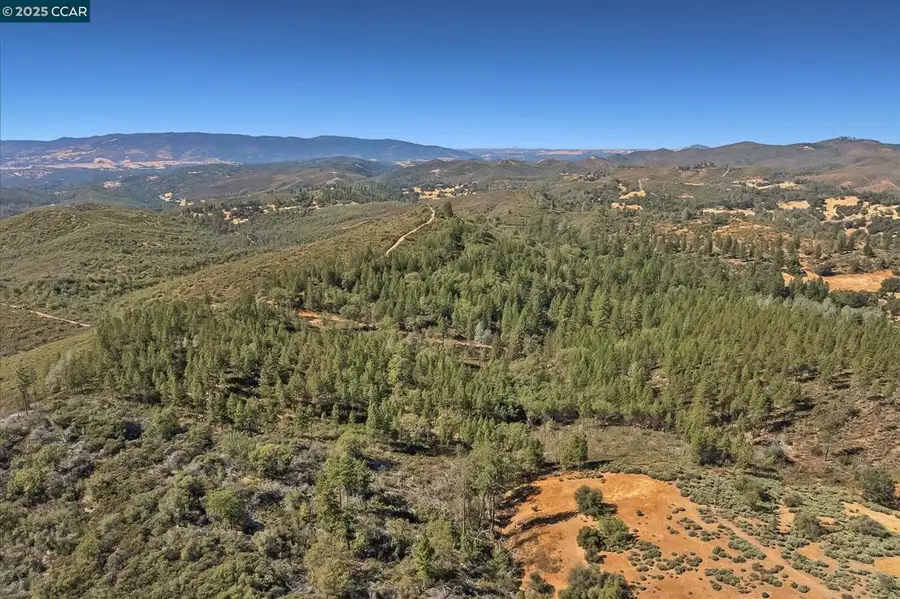 7559 Alamo Rd, Mountain Ranch, CA 95246 - Image #3