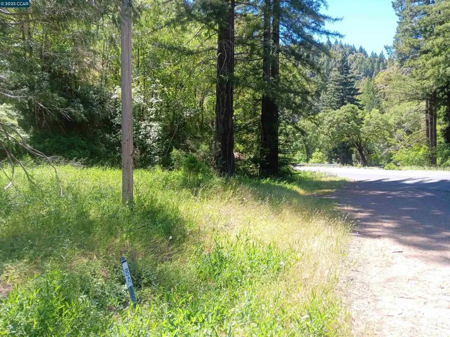56025 Highway 101, Laytonville, CA 95454 - Image #3