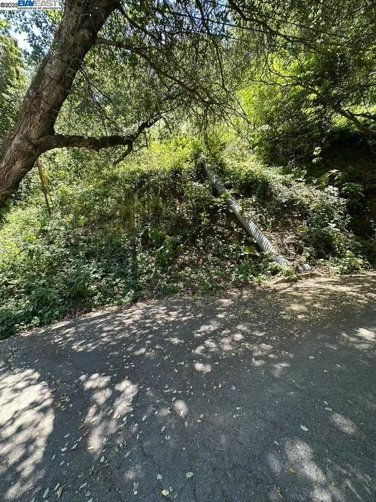 Chelton Drive, Oakland, CA 94603 - Image #2