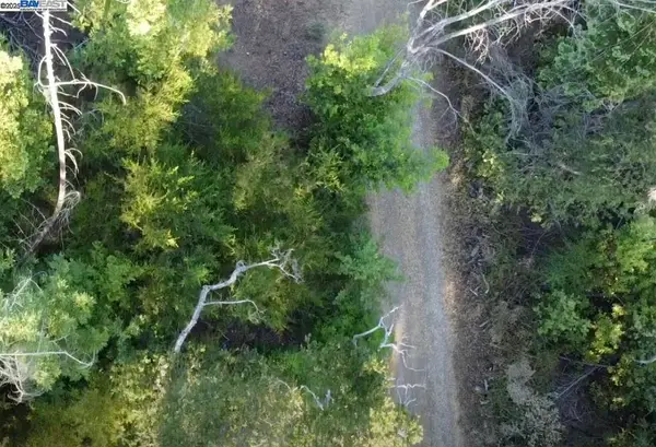 Address Withheld By Seller, Boulder Creek, CA 95006