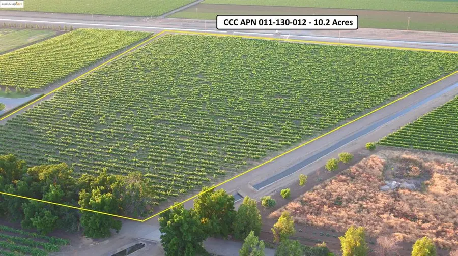 11650 Byron Highway, Brentwood, CA 94513 - #2