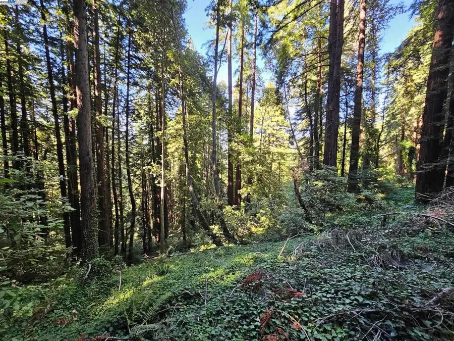 26 Old La Honda Rd, Woodside, CA 94062 - Image #2