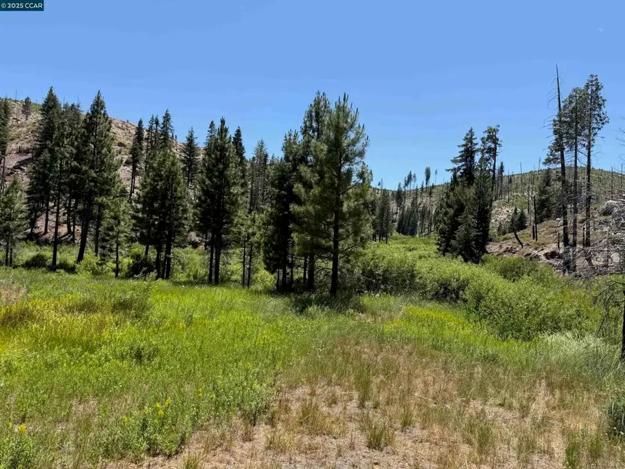 0 Ohio Valley, Canyon Dam, CA 95923 - Image #2