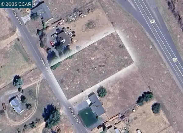 459810 Ponderosa Blvd, Janesville, CA 96411