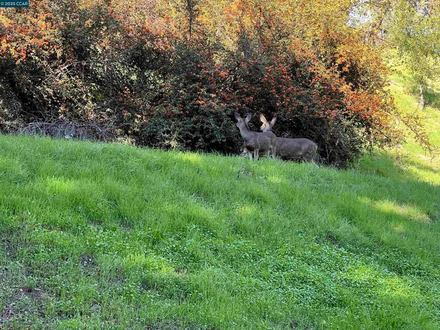 Alamo View Pl, Walnut Creek, CA 94595 - Image #2