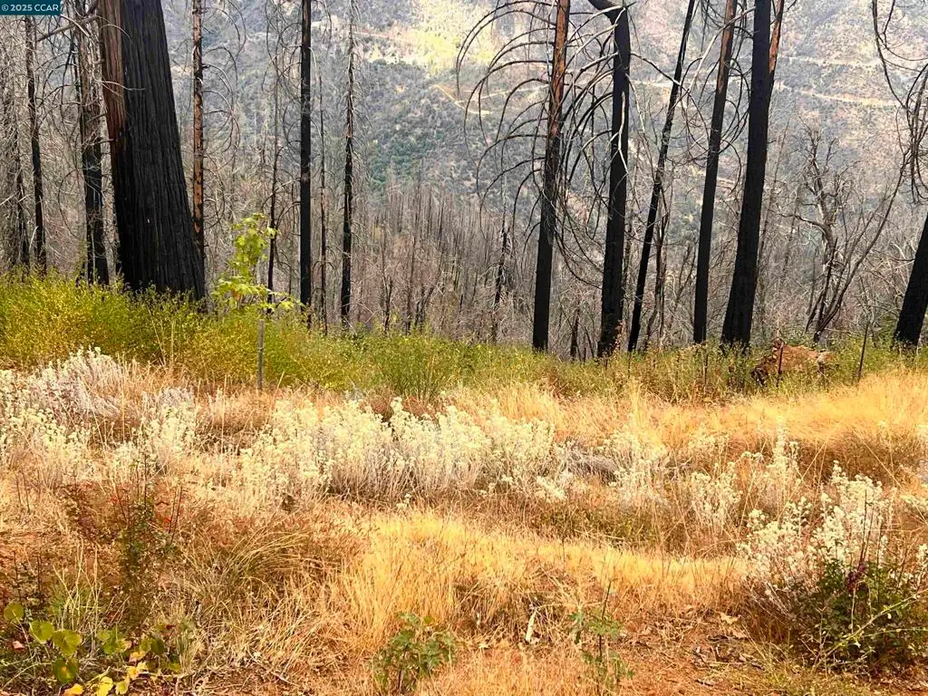 4025 Volcanoville Rd, Georgetown, CA 95634 - Image #1