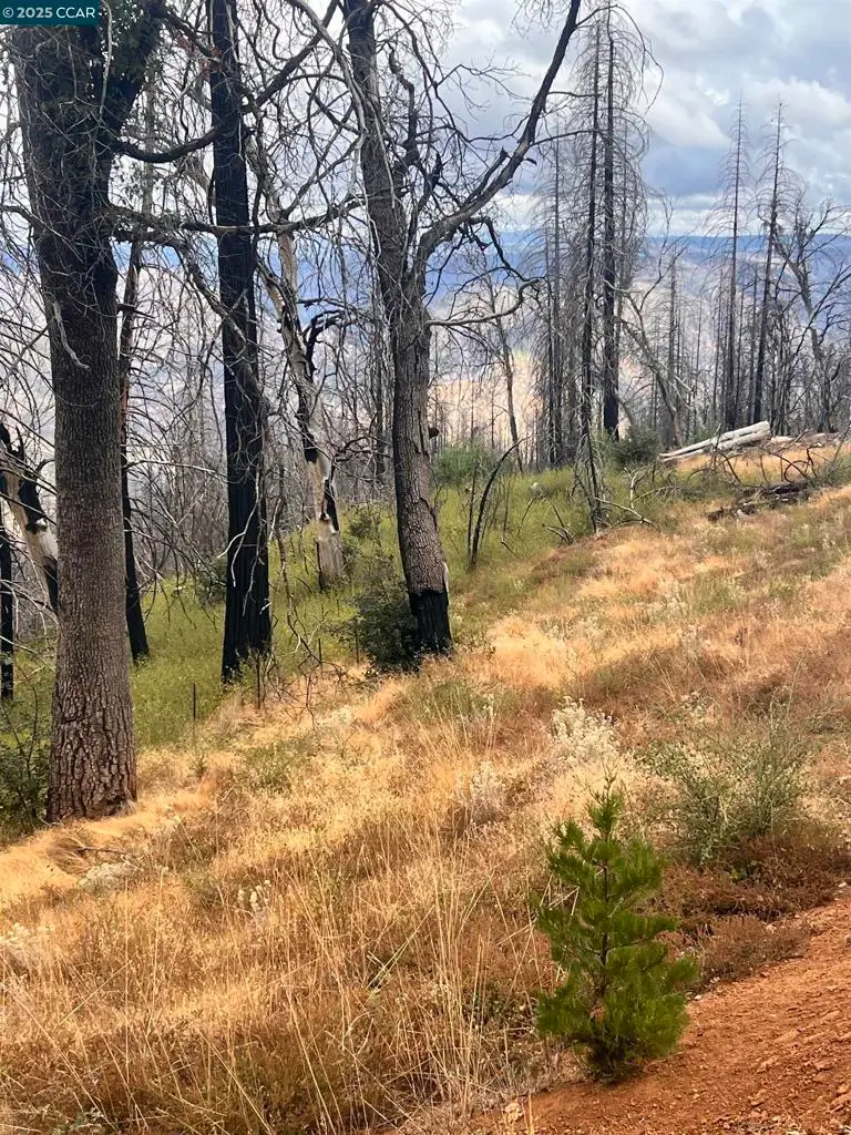 4025 Volcanoville Rd, Georgetown, CA 95634 - Image #2