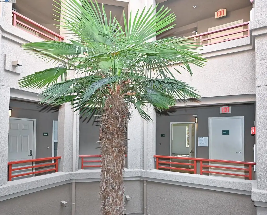 280 Caldecott Ln #221, Oakland, CA 94618 - #1