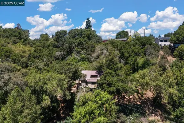 20 La Madronal, Orinda, CA 94563