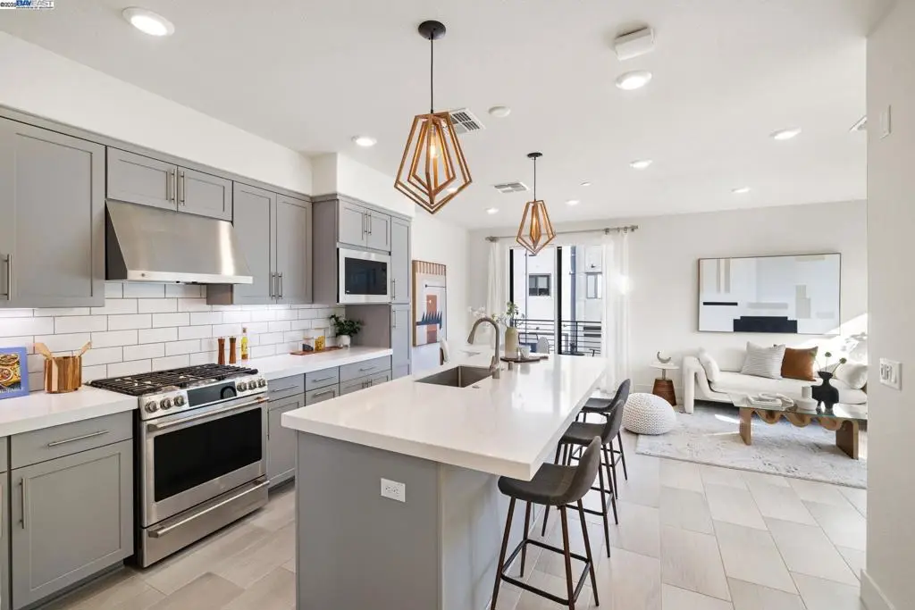 3838 Development Ter #1001, Fremont, CA 94538 - #1