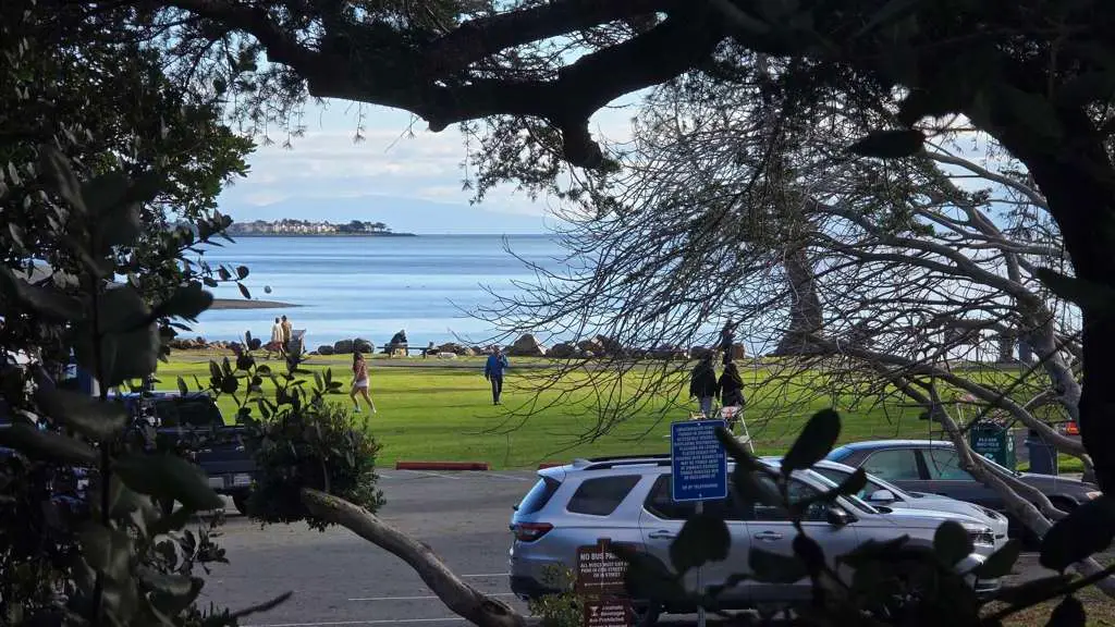 1321 Webster St #D119, Alameda, CA 94501 - Image #1