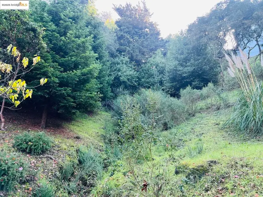 6622 Exeter Dr, Oakland, CA 94611 - Image #3