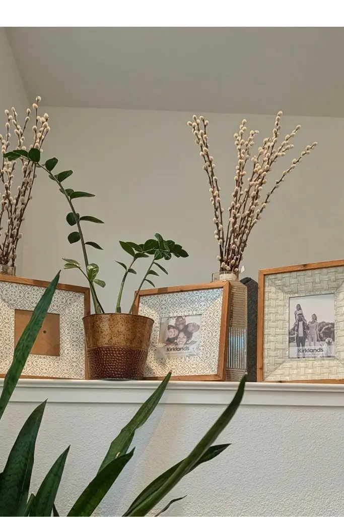 50 50 Driftwood Circle, Pittsburg, CA 94565 - #2