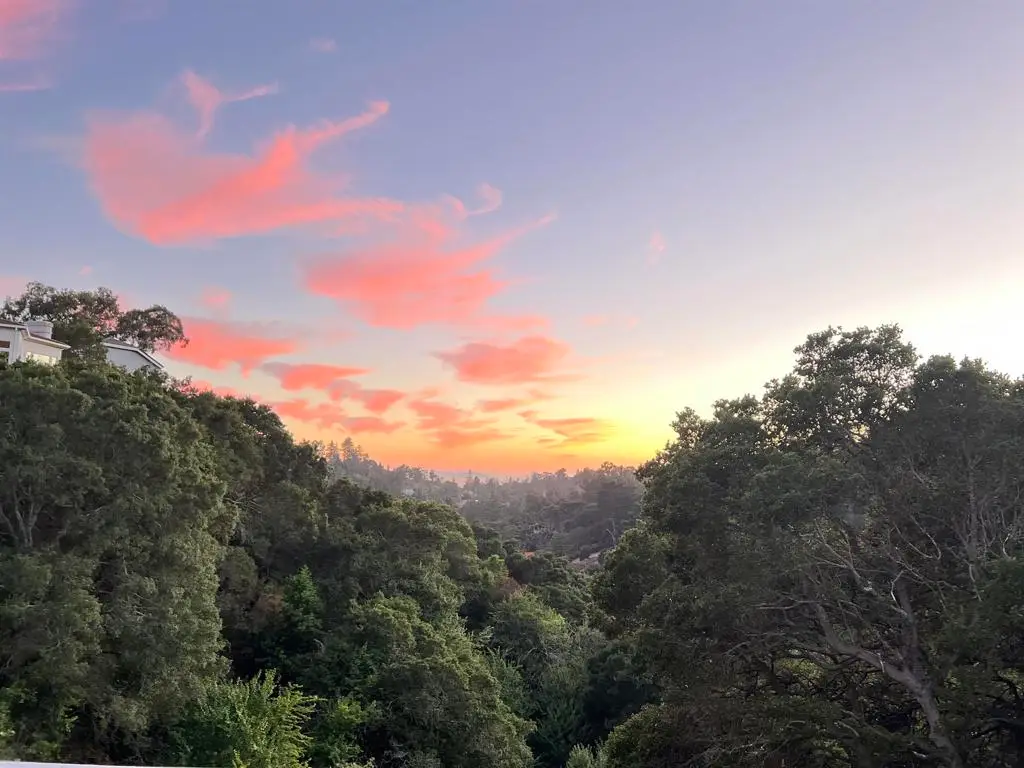 1715 Alhambra Ln, Oakland, CA 94611 - #1