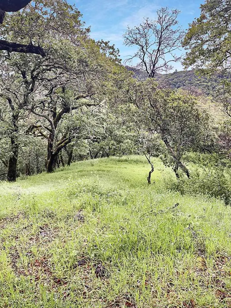 Address Withheld By Seller, Fairfax, CA 94930 - Image #3