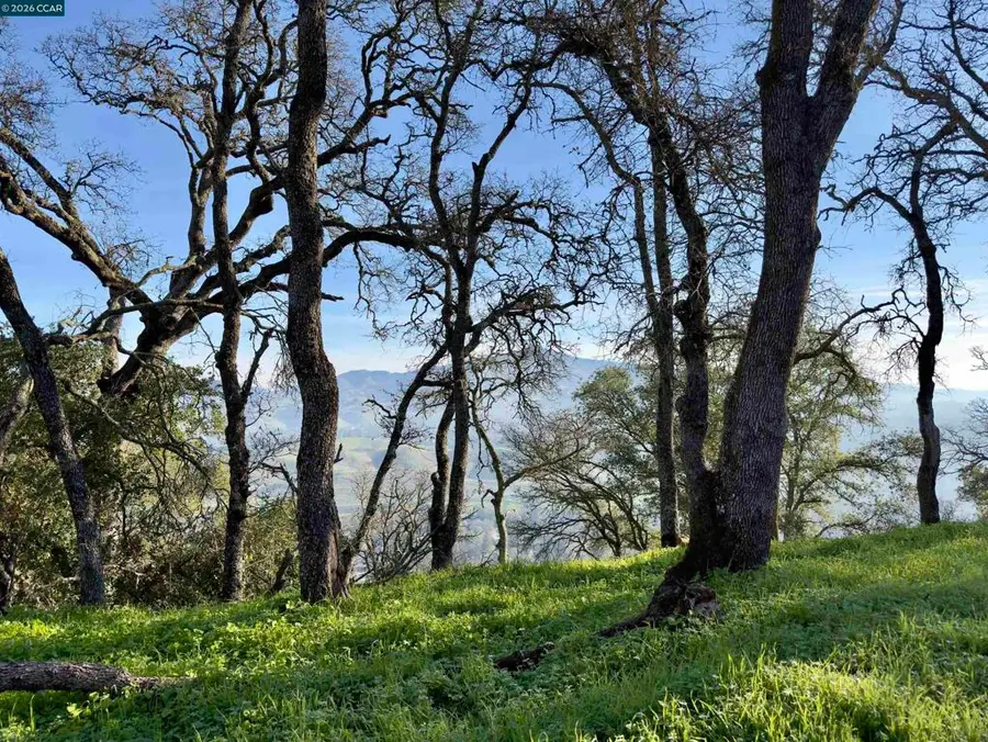 0 Castle Crest Rd, Alamo, CA 94507 - Image #2