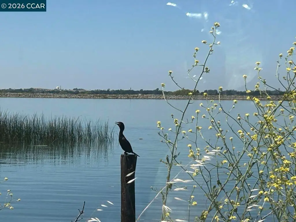1 Bradford Island Rd, Oakley, CA 94561 - Image #1