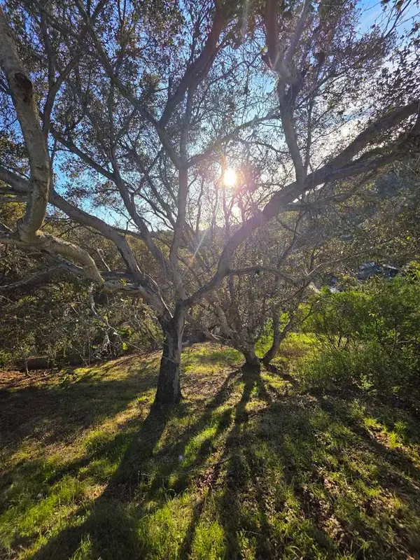 0 0 Longfellow Dr, Belmont, CA 94002