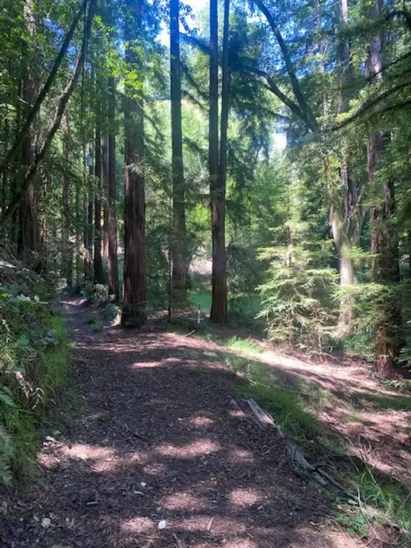 2 2 Wainwright Pl, Mill Valley, CA 94941