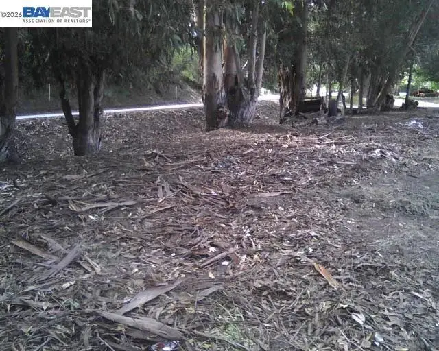 Morrison Canyon Rd, Fremont, CA 94536 - #1