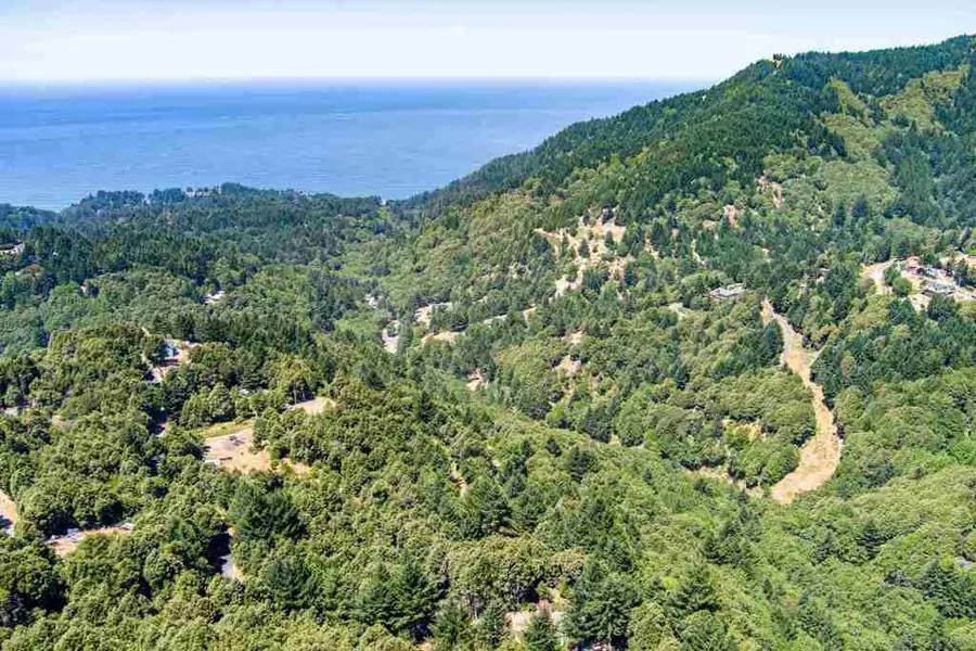 91 91 Walker Way, Whitethorn, CA 95589 - #3