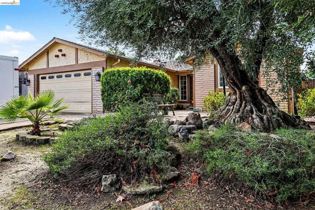 3218 3218 Westbourne Dr, Antioch, CA 94509 - #1