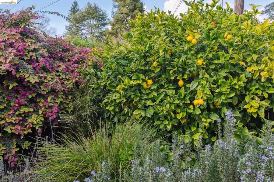 4651 4651 Fair Ave, Oakland, CA 94619 - #3