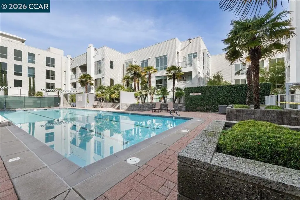 1655 N California Blvd #330, Walnut Creek, CA 94596 - #1