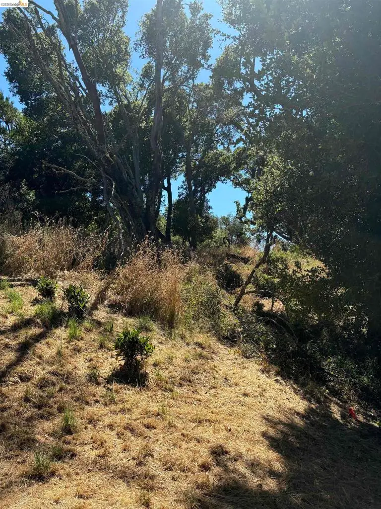 Spring Rd, Orinda, CA 94563 - #1