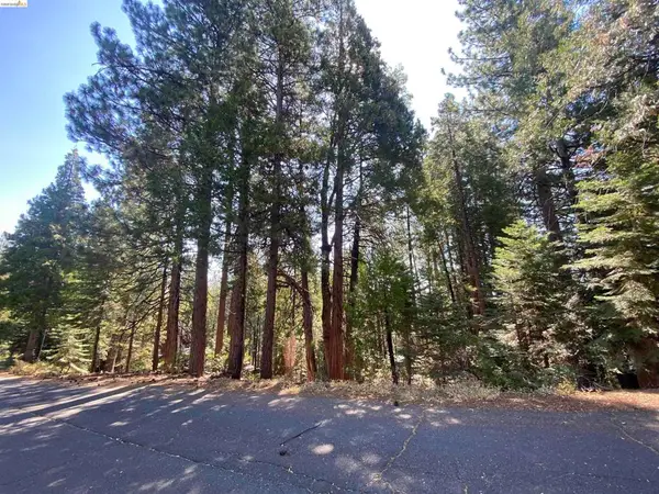 155 Alpine, Cold Springs, CA 95335
