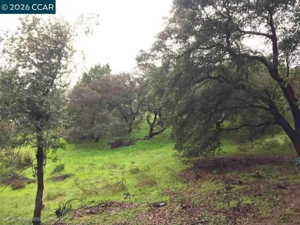 16 Brandywine Way, Martinez, CA 94553 - #1