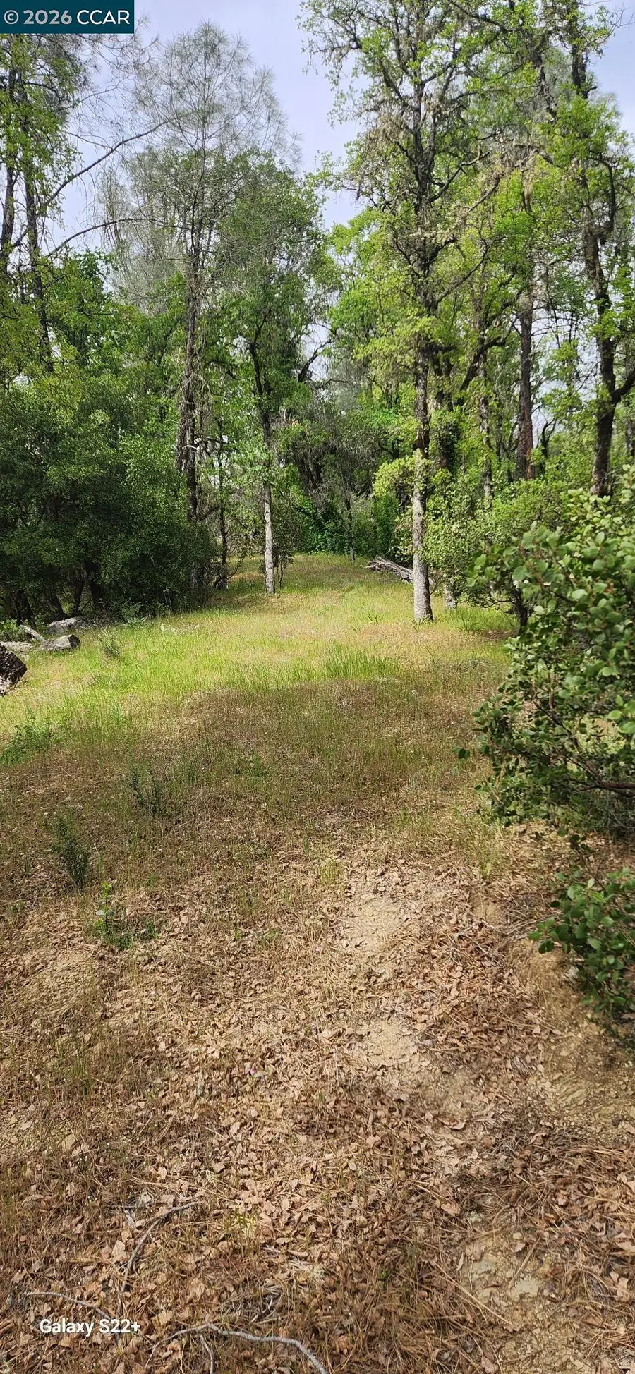 Address Withheld By Seller, Covelo, CA 95428 - #3