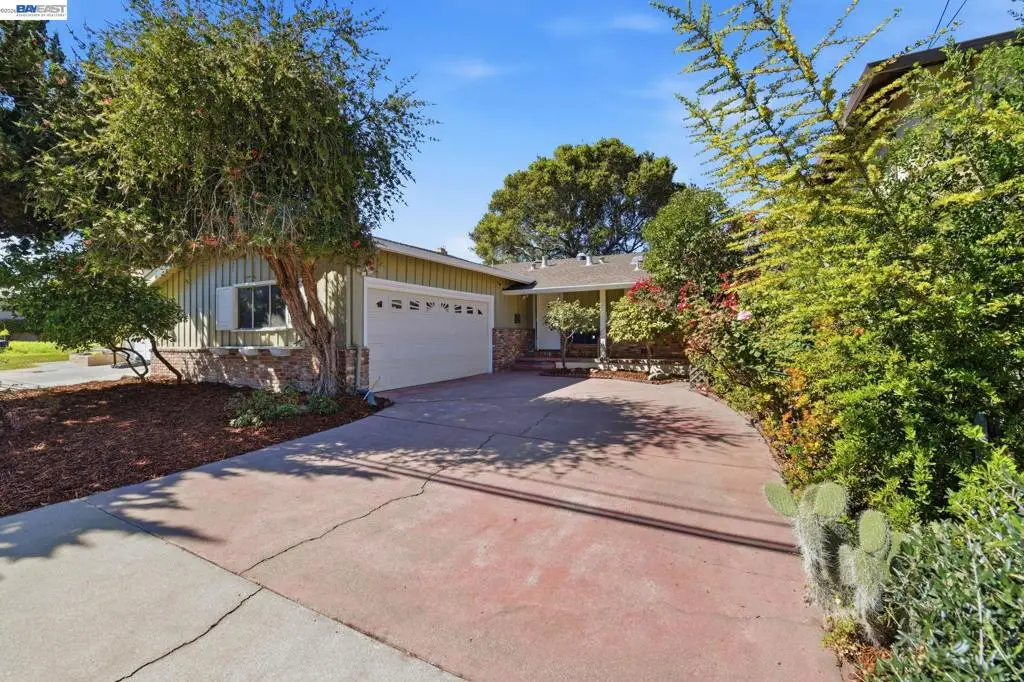 24889 Bland St, Hayward, CA 94541 - #1