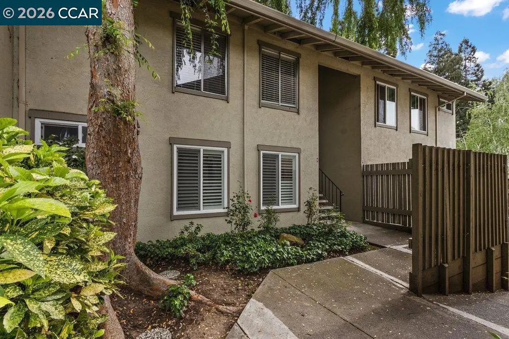 1241 Homestead Ave #206, Walnut Creek, CA 94598 - #1